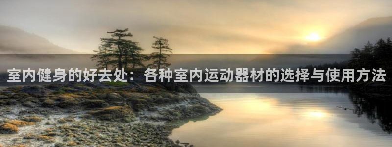 意昂4神州：室内健身的好去处：各种室内运动器材的选择