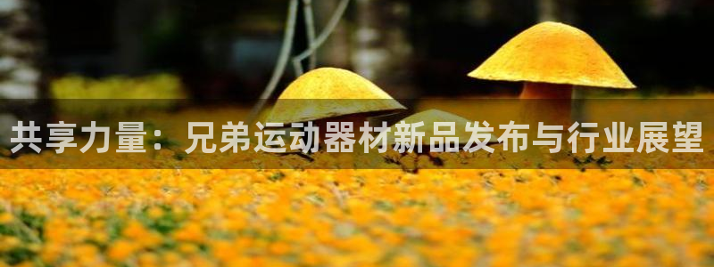 意昂4娱乐下载：共享力量：兄弟运动器材新品发布与行业