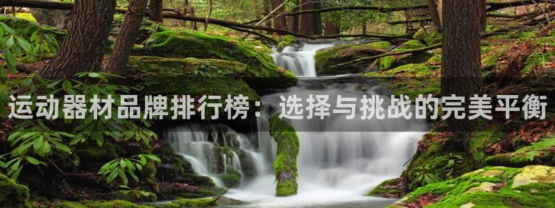 意昂体育4平台APP：运动器材品牌排行榜：选择与挑战