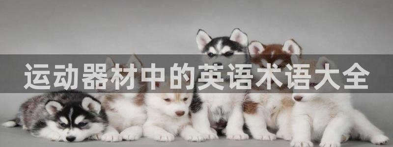 意昂体育4平台注册流程图：运动器材中的英语术语大全