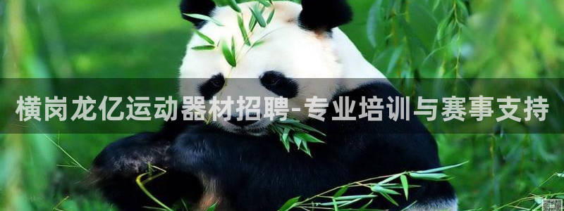 意昂体育4招商电话地址查询：横岗龙亿运动器材招聘-专