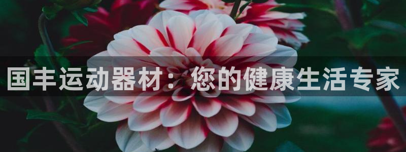 意昂体育4招商电话号码是多少啊：国丰运动器材：您的健