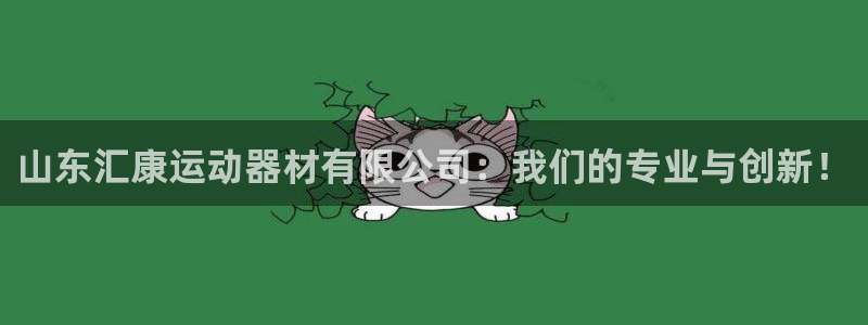 意昂4五金厂：山东汇康运动器材有限公司：我们的专业与