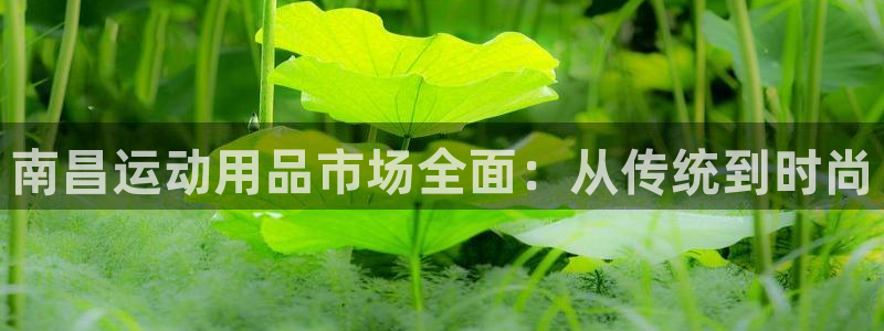 意昂4科技：南昌运动用品市场全面：从传统到时尚