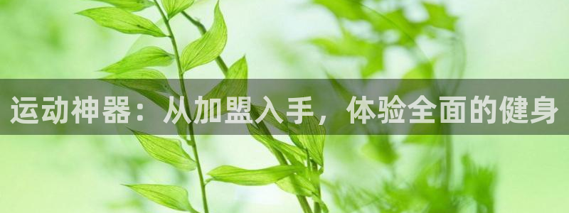 意昂体育4平台APP：运动神器：从加盟入手，体验全面