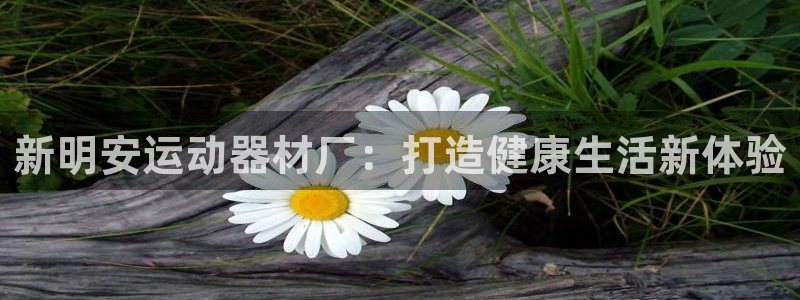 意昂体育4平台假的吗是真的吗吗：新明安运动器材厂：打