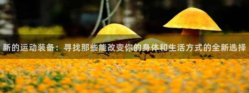 意昂体育4招商电话地址：新的运动装备：寻找那些能改变