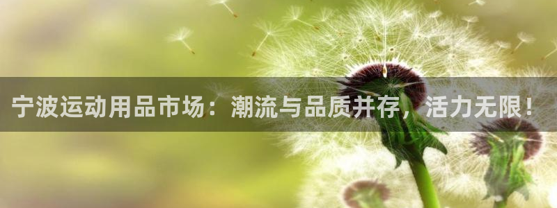 意昂4新能源：宁波运动用品市场：潮流与品质并存，活力