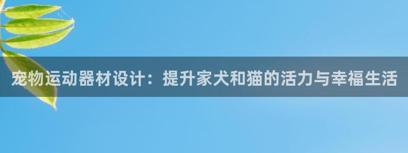 意昂4新能源：宠物运动器材设计：提升家犬和猫的活力与