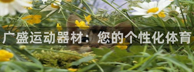 意昂4集团logo：广盛运动器材：您的个性化体育