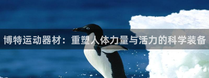 意昂集团官网：博特运动器材：重塑人体力量与活力的科学