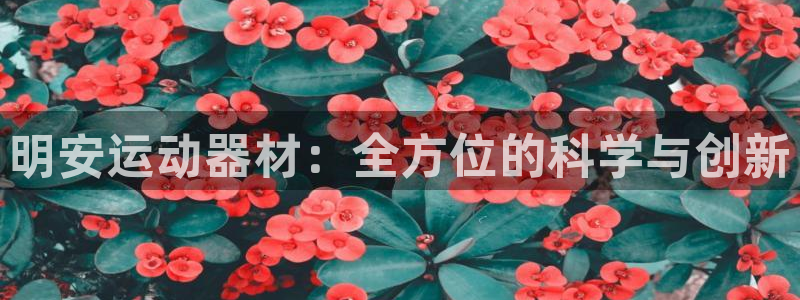 意昂体育4联系电话：明安运动器材：全方位的科学与创新