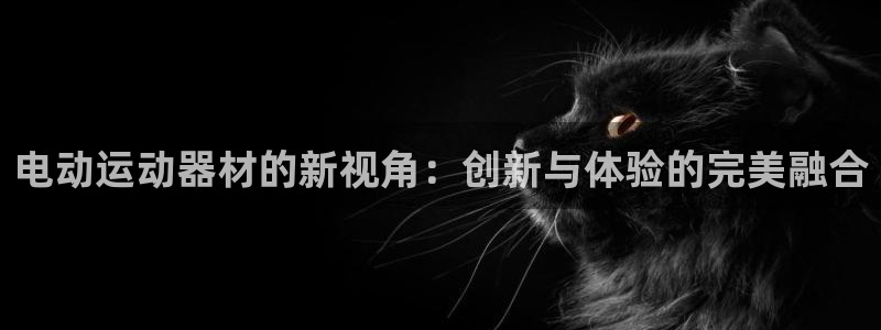 意昂体育4招商电话地址查询：电动运动器材的新视角：创