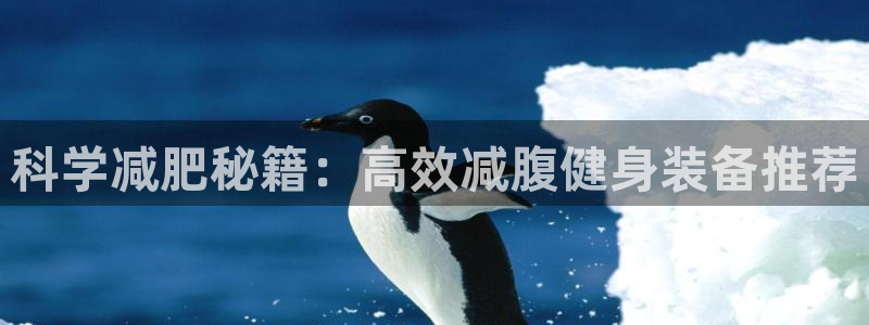 意昂体育4招商电话号码查询：科学减肥秘籍：高效减腹健