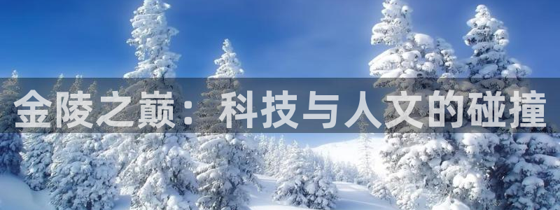 意昂体育4平台注册要钱吗安全吗：金陵之巅：科技与人文