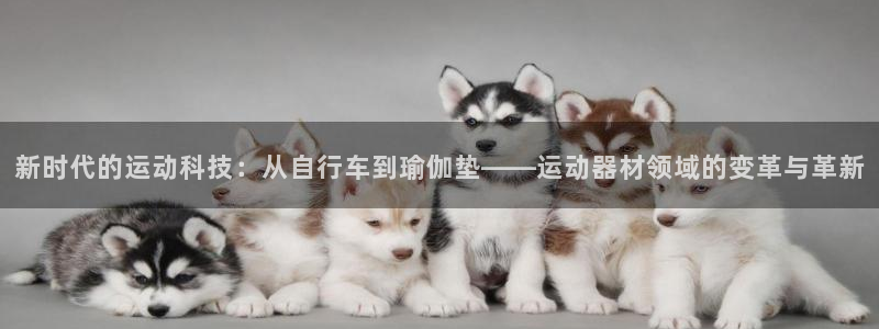 意昂4神州：新时代的运动科技：从自行车到瑜伽垫——运