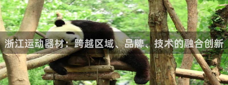 意昂体育4招商电话号码查询是多少