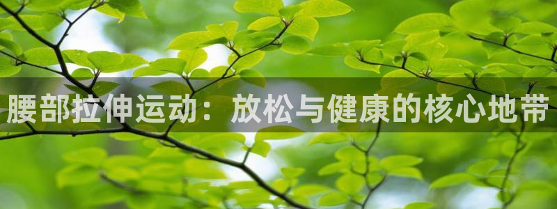 意昂体育4招商电话号码是多少啊：腰部拉伸运动：放松与
