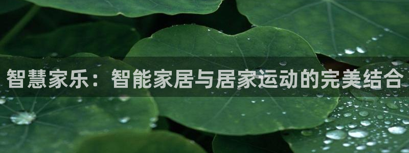 意昂体育4招商电话号码查询