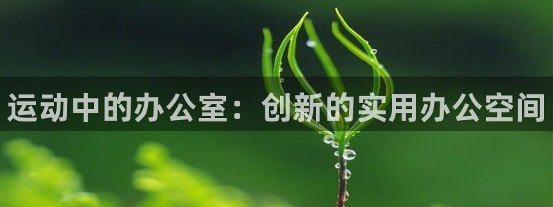 意昂4娱乐首页官网下载