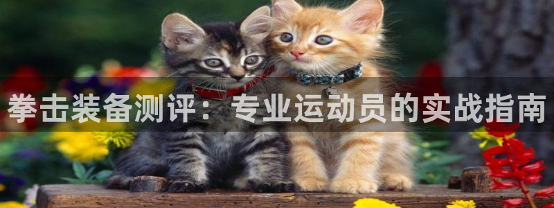 意昂体育4软件：拳击装备测评：专业运动员的实战指南