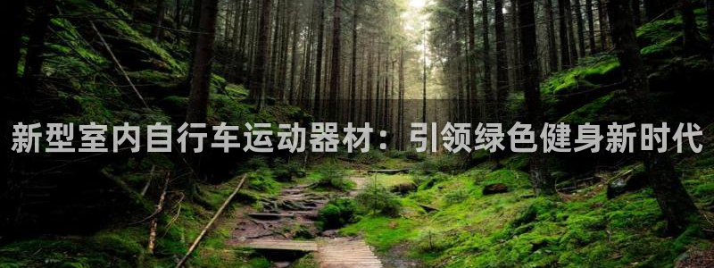 意昂4神州：新型室内自行车运动器材：引领绿色健身新时