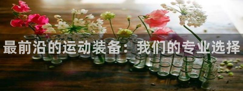 德国意昂4集团：最前沿的运动装备：我们的专业选择