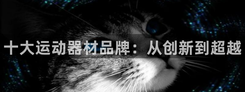 意昂体育4平台是正规平台吗知乎