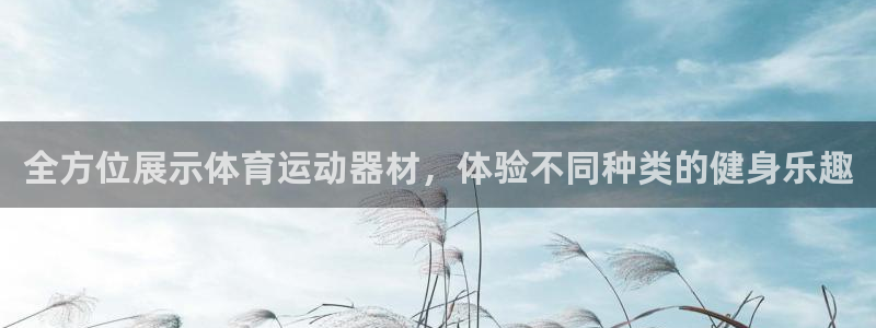 意昂4娱乐40996：全方位展示体育运动器材，体验不同种类的