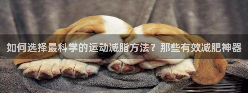 意昂体育4招商电话是多少号码：如何选择最科学的运动减
