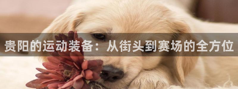 意昂4新能源