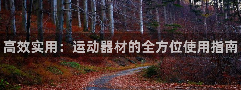 意昂4娱乐：高效实用：运动器材的全方位使用指南