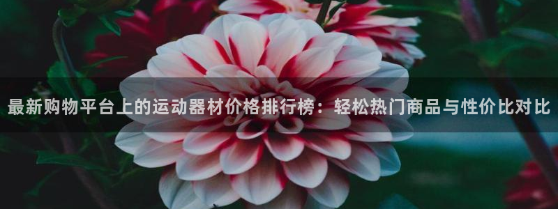 意昂体育4开户：最新购物平台上的运动器材价格排行榜：轻松热门