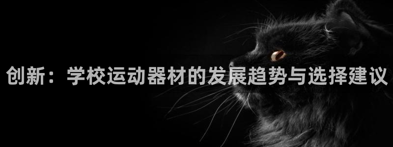 意昂体育4平台假的吗是真的吗吗：创新：学校运动器材的发展趋势