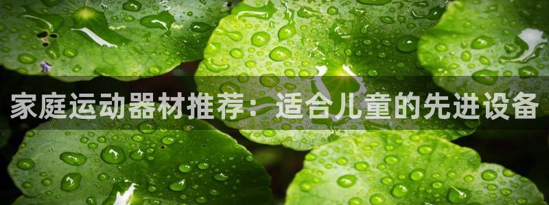 意昂体育4注册：家庭运动器材推荐：适合儿童的先进设备
