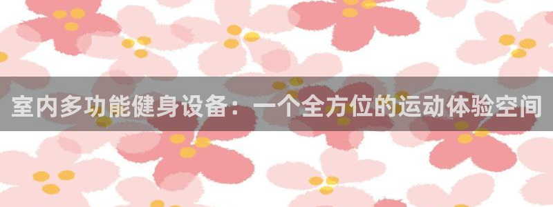 意昂4娱乐是那个系列的台子：室内多功能健身设备：一个全方位的