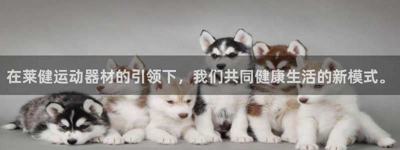 意昂体育4平台注册流程视频：在莱健运动器材的引领下，我们共同
