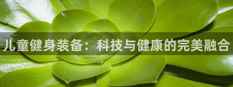 意昂体育4招商电话号码是多少号：儿童健身装备：科技与