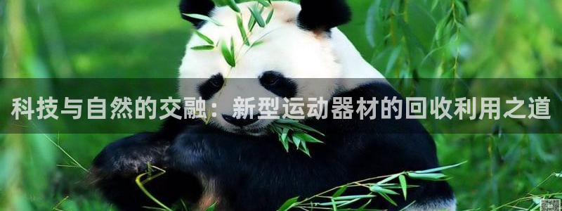 德国意昂4集团