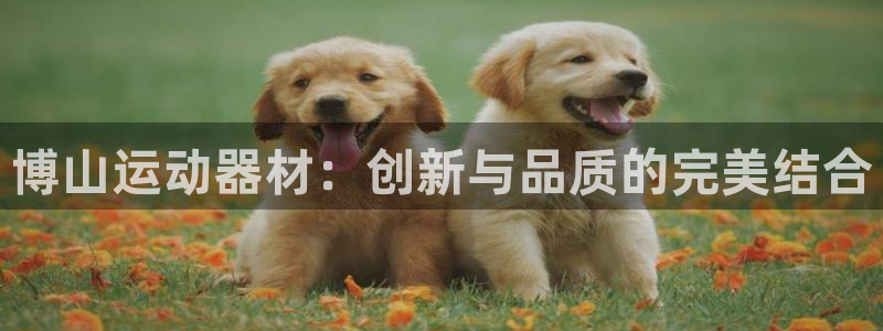 意昂4开户