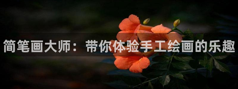意昂体育4招商电话号码查询：简笔画大师：带你体验手工绘画的乐