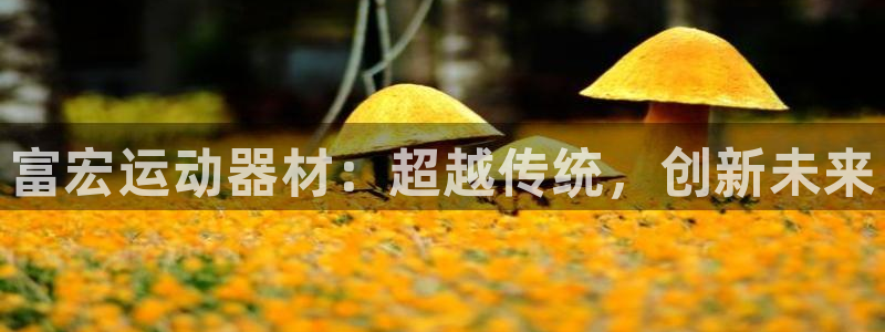 意昂4集团简介：富宏运动器材：超越传统，创新未来