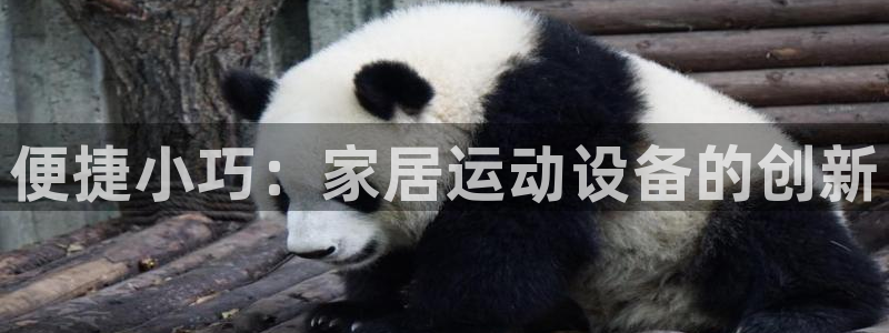 意昂4代理