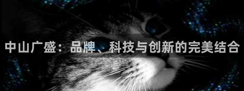 意昂4新能源：中山广盛：品牌、科技与创新的完美结合