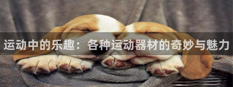 意昂4官方：运动中的乐趣：各种运动器材的奇妙与魅力