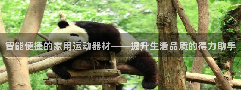 意昂体育4开户：智能便捷的家用运动器材——提升生活品