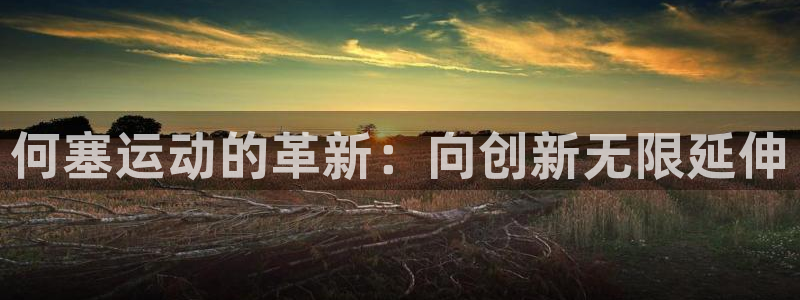 意昂4神州：何塞运动的革新：向创新无限延伸