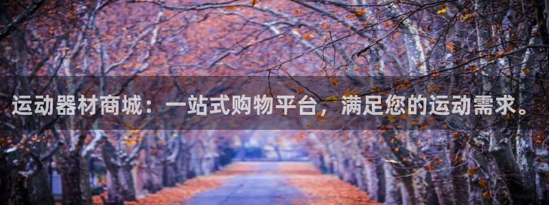 意昂体育4是干嘛的公司：运动器材商城：一站式购物平台