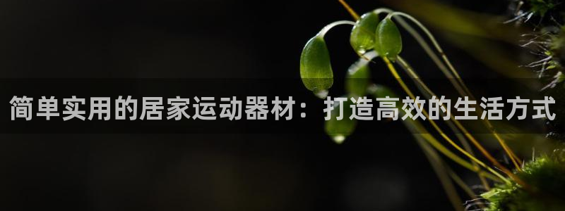 意昂4五金厂：简单实用的居家运动器材：打造高效的生活