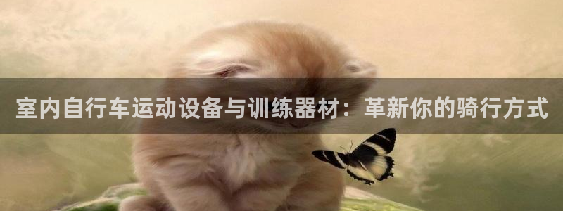 意昂体育4平台注册流程视频：室内自行车运动设备与训练